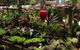 Nambucca Valley Landscape Supplies & Nursery - thumb 1
