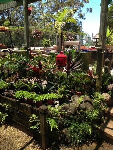 Nambucca Valley Landscape Supplies & Nursery - Renee 1