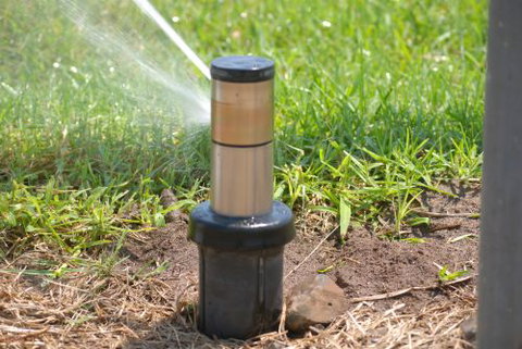 Think Water Alstonville - Swimm 3