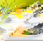 Event Solutions - Internet Find