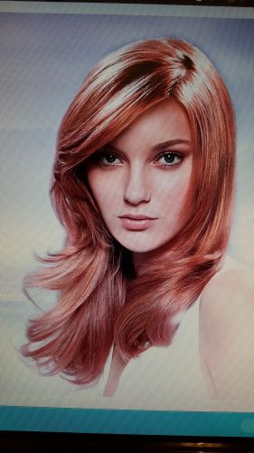 Hairmoda - Renee 2