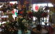 Tanby Roses Flower Shop - thumb 4