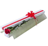 Beerwah Flowers  Gifts - Renee