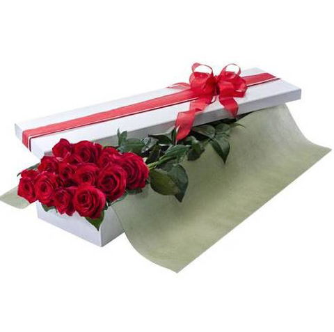 Beerwah Flowers & Gifts - Renee 1