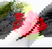 i-Blossom - Qld Realsetate