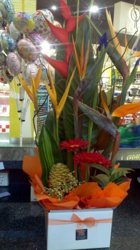 Florists Cotton Tree QLD Internet Find