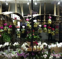 Rosita Floral Service - Qld Realsetate