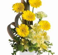 The Flower Station Townsville - Renee