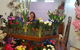 All Occasion Flowers & Party Hire - thumb 0