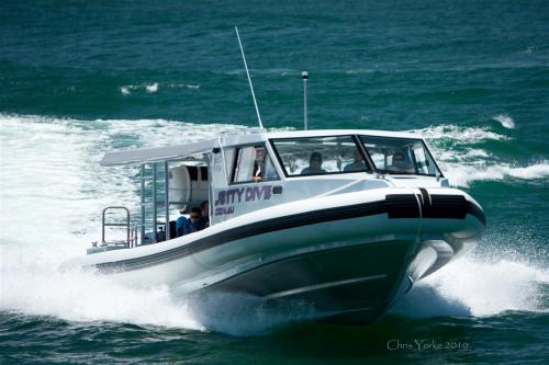 Diving Coffs Harbour NSW Internet Find