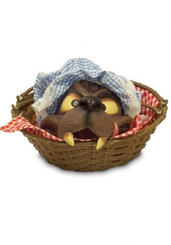 Bec’s Costume Box - Qld Realsetate 10