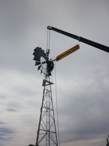 Cooroy Pumps & Solar - Renee 2