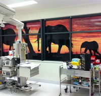 Extreme Glass Tinting Townsville - Renee