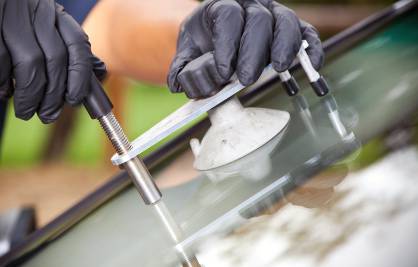 Protector Windscreens - Internet Find 0