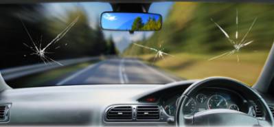 Protector Windscreens - Internet Find 1