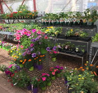 Alice Springs Nursery - Internet Find