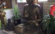 Calligan’s Nursery & Garden Centre - thumb 0