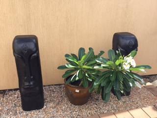 Calligan’s Nursery & Garden Centre - Renee 2