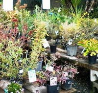 Murwillumbah Landscape Supplies - Renee