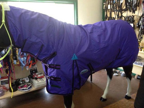 Proserpine Rural - Swimm 3