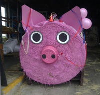 Farmyard Feeds Mackay - Petrol Stations