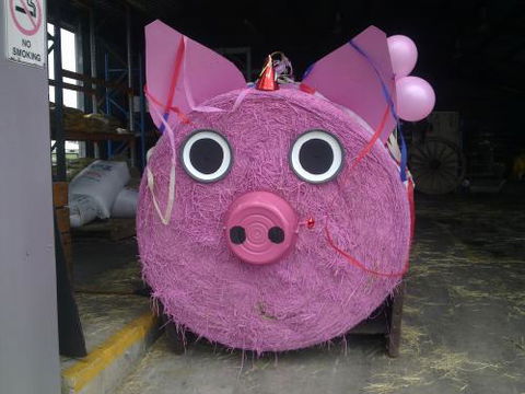 Farmyard Feeds Mackay - Renee 0