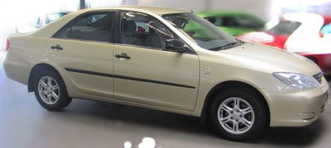 Carters Car Rentals - Renee 2