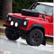 All Diesel Systems - Renee 2