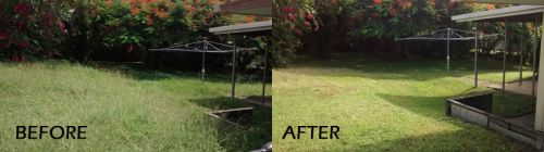 Carpet Vinyl Layers Repairs Mount Pleasant QLD Internet Find