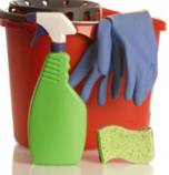 Phil’s Cleaning & Yard Maintenance - Renee 2