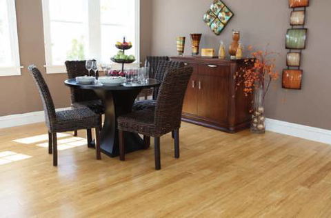 Coffs Harbour Tile & Carpet Court - Renee 3