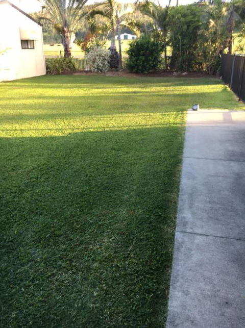 Hillside Turf - Renee 0