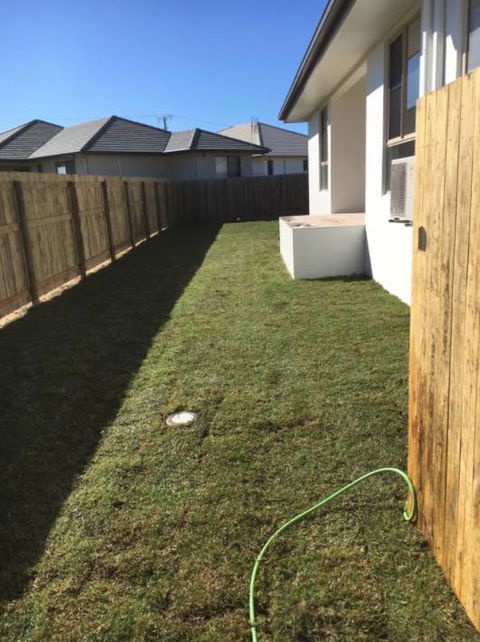 Hillside Turf - Renee 2
