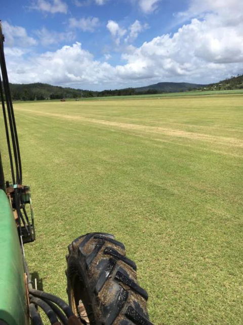 Hillside Turf - Renee 3