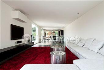 Carpet Kingdom - Renee 2