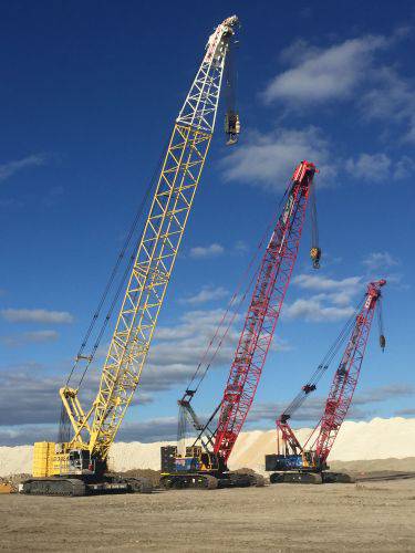 Lee Crane Hire Pty Ltd - Renee 3