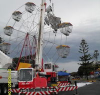 Manning Valley Cranes - Renee