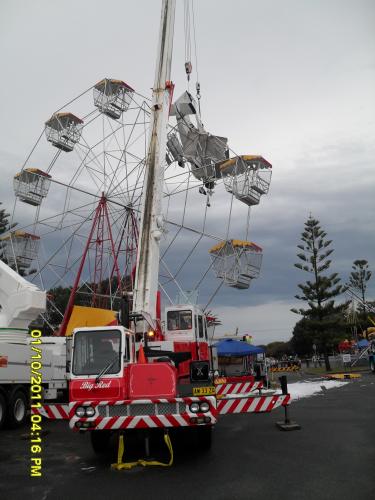 Manning Valley Cranes - Renee 0