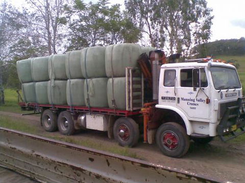 Manning Valley Cranes - Renee 2