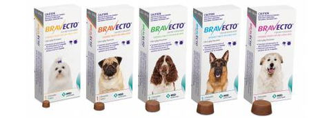 Burnett Mobile Vet - Qld Realsetate 3