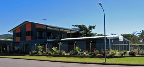 Cairns Cat Oasis Resort - Renee 0