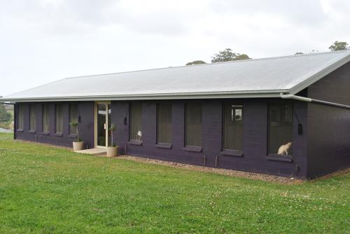 Cat Boarding Catteries Boambee NSW Swimm