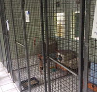 Gympie Cooloola Pet Resort - Renee