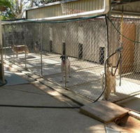Eumundi Pet Resort - Renee