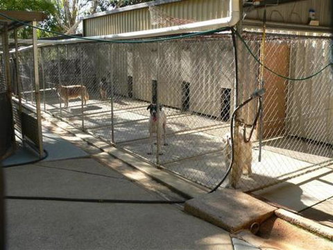 Eumundi Pet Resort - Internet Find 0