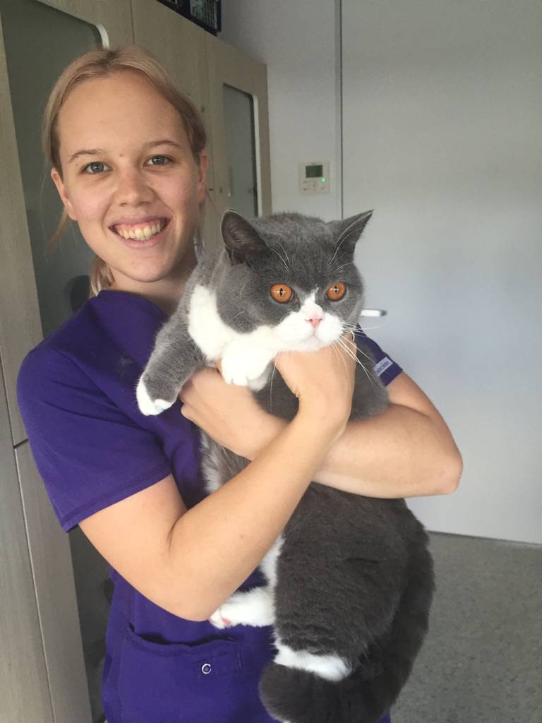 Cat Boarding Catteries Andergrove QLD Renee