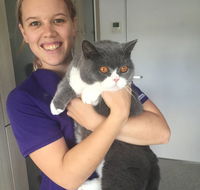 The Getaway Cattery - Renee