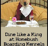 Homebush Boarding Kennels  Cattery - Renee