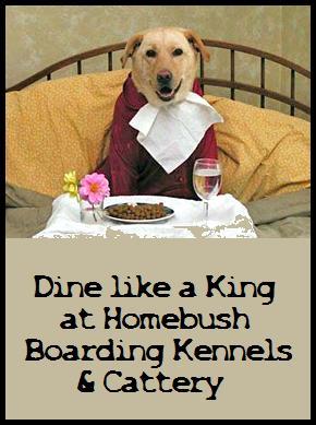 Homebush Boarding Kennels & Cattery - Renee 0