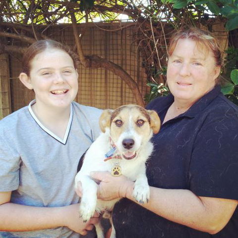 Homebush Boarding Kennels & Cattery - Renee 1